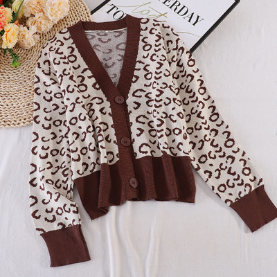 V-kujulise krae ja leopardimustriga sügisene naistevest