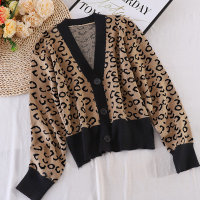 V-kujulise krae ja leopardimustriga sügisene naistevest