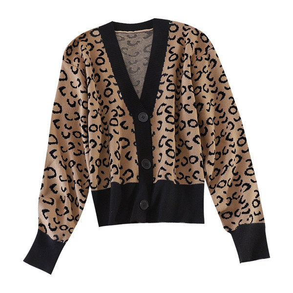 V-kujulise krae ja leopardimustriga sügisene naistevest