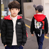 Kapuutsiga ja seljal aplikatsiooniga laste jope poisile