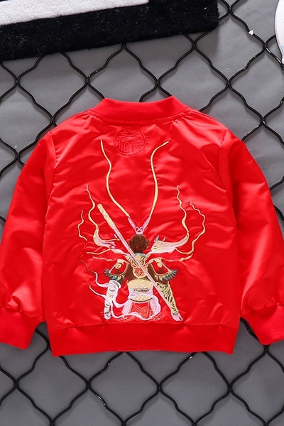 Tikandi ja lukuga laste jope poistele