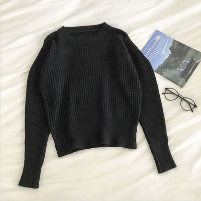 Naiste vabaaja sviiter pikkade varrukatega ja ümara kaelusega