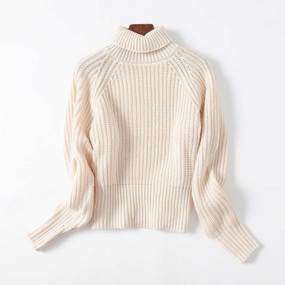 Πουλόβερ φθινόπωρο-χειμερινό με γιακά