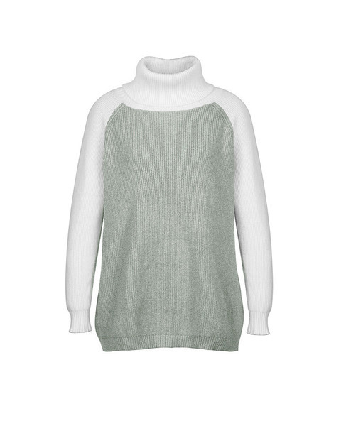 Naiste kõrge polo krae ja pikkade varrukatega sviiter