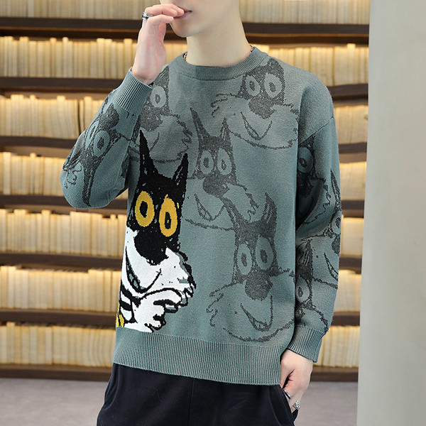 Moodne meeste kampsun ümara kaelusega - kaks mudelit