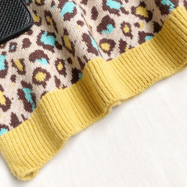 Πουλόβερ casual με μοτίβο λεοπάρδαλη