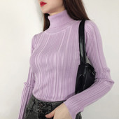 Γυναικείο πουλόβερ με ψηλό κολάρο και μακριά μανίκια σε διάφορα χρώματα