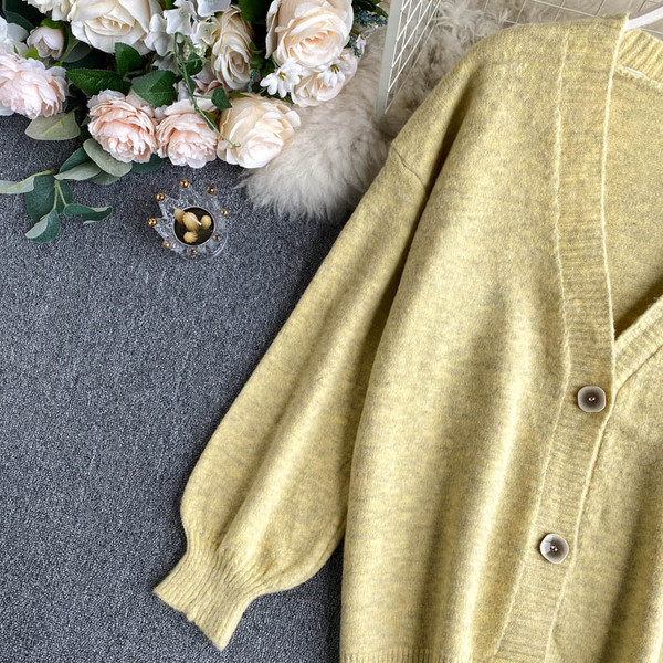 Naiste nööpide ja pikkade varrukatega sulevest