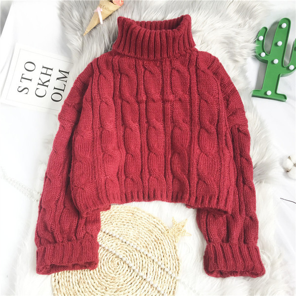 Moodne lühike kõrge kraega naiste kampsun