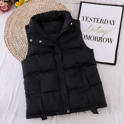 Kõrge krae ja taskutega sügisene naistevest