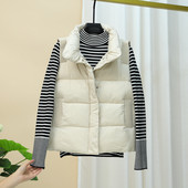 Laisvalaikio moteriška liemenė – su kišenėmis ir aukšta apykakle