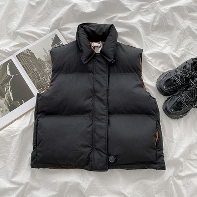 Klassikalise kraega vabaaja naiste vesti tavaline mudel