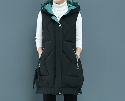 Uus mudel taskute ja kapuutsiga naiste vest