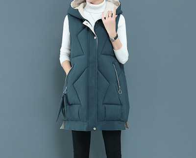 Uus mudel taskute ja kapuutsiga naiste vest