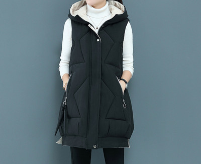 Uus mudel taskute ja kapuutsiga naiste vest