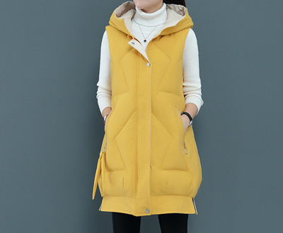 Uus mudel taskute ja kapuutsiga naiste vest