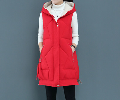 Uus mudel taskute ja kapuutsiga naiste vest