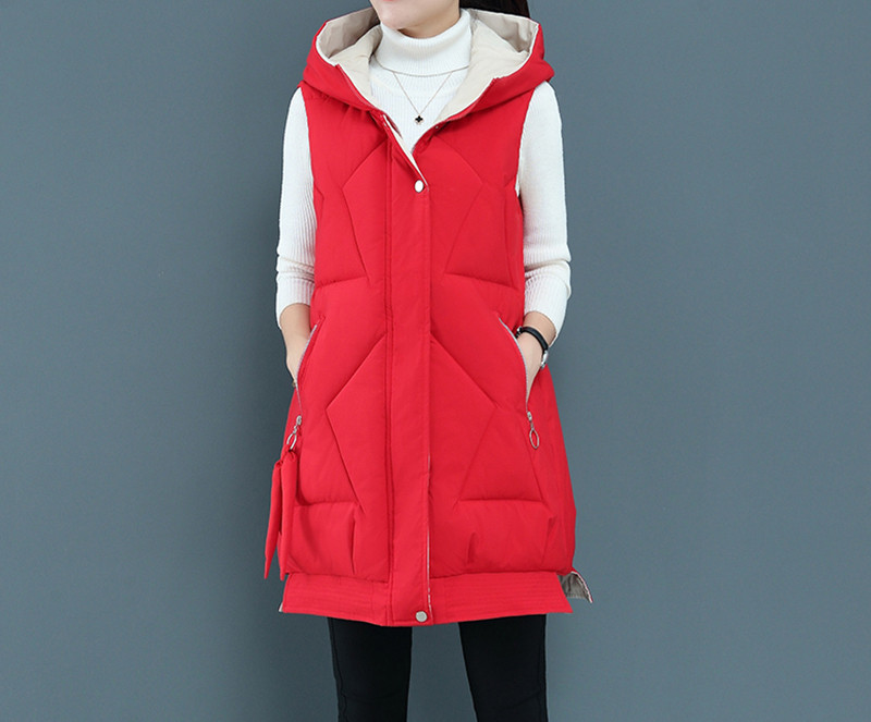 Uus mudel taskute ja kapuutsiga naiste vest