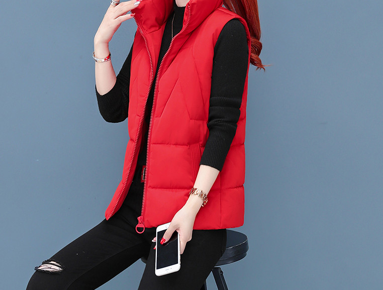 Sügis-talvine vest lukuga naistele