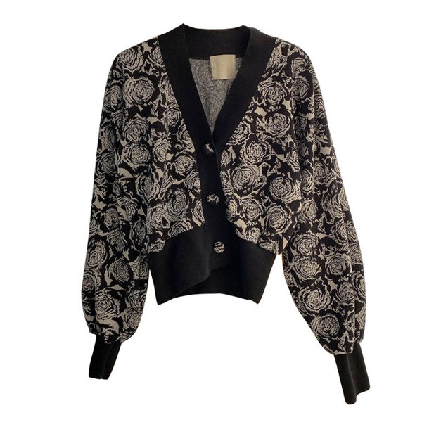 Stiilne naiste lühike kardigan mustri ja spitsikaelusega