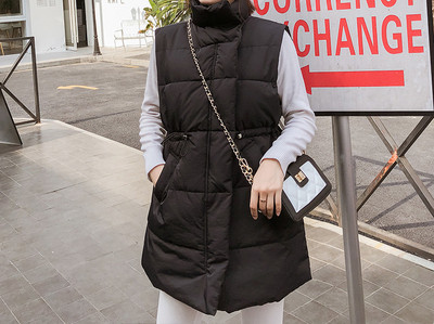 Praegune kõrge krae ja lipsudega naistevest