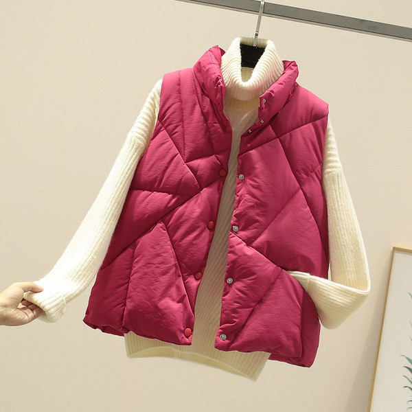 Moodne kõrge krae ja nööpidega naistevest