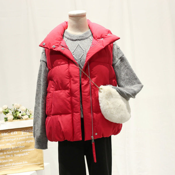 Sügis-talvine naiste vest naistele