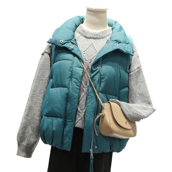 Sügis-talvine naiste vest naistele