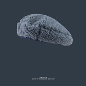 Ζεστό χειμερινό καπέλο μπερέ