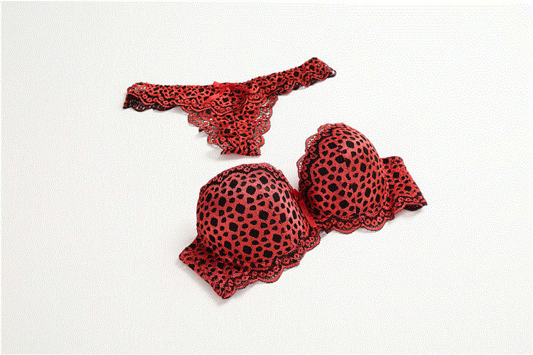 ΝΕΟ Μοντέλο γυναικείο σετ δαντέλας με τύπωμα λεοπάρ