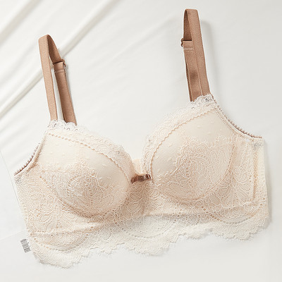 Γυναικείο σουτιέν ή σετ δαντέλας