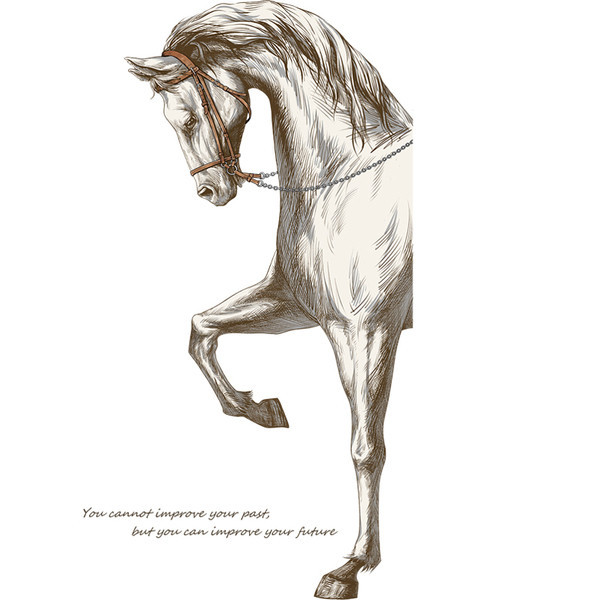 Fali dekoráció lóval és öntapadó felirattal