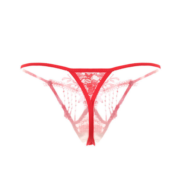 Γυναικεία διαφανή στρινγκ με κέντημα