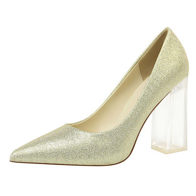 Ženski model cipela na špic s debelom prozirnom petom