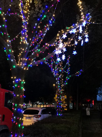 Διακοσμητικά Χριστουγεννιάτικα φώτα μεγέθους 20 μέτρων