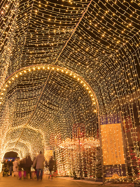 20 méteres dekoratív karácsonyi fények