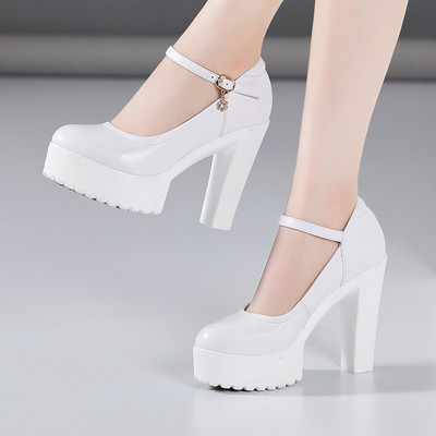 Μοντέρνα γυναικεία παπούτσια με αγκράφα και τακούνι 12 και 7 cm