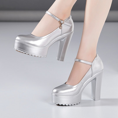 Μοντέρνα γυναικεία παπούτσια με αγκράφα και τακούνι 12 και 7 cm