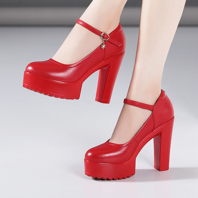 Μοντέρνα γυναικεία παπούτσια με αγκράφα και τακούνι 12 και 7 cm