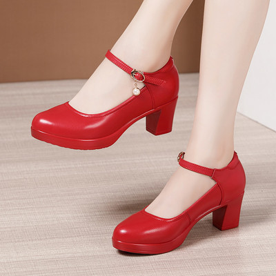 Μοντέρνα γυναικεία παπούτσια με αγκράφα και τακούνι 6 και 12 cm