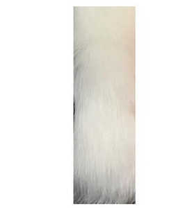 Moderns dūnu mētelis dažādās krāsās