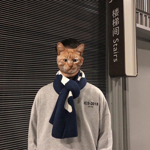 Férfi alkalmi sál négy színben