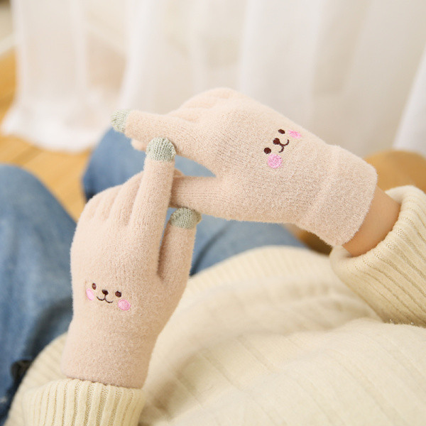 Moteriškos žieminės pirštinės su įvairių spalvų siuvinėjimais