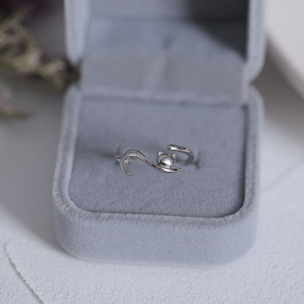 Naiste vabaaja sõrmuse tavaline mudel