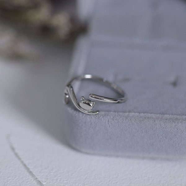 Naiste vabaaja sõrmuse tavaline mudel