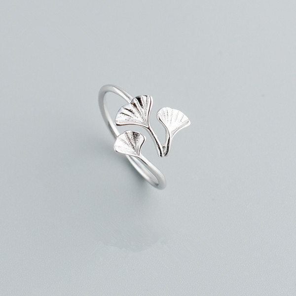 Moderni obični model prstena