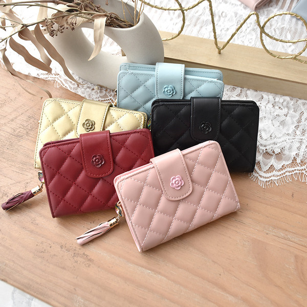 Uus mudel naiste rahakott münditaskuga