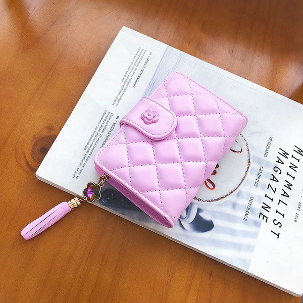 Moodne lukuga naiste rahakott