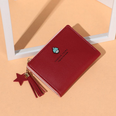 Naiste minirahakott luku ja tutiga