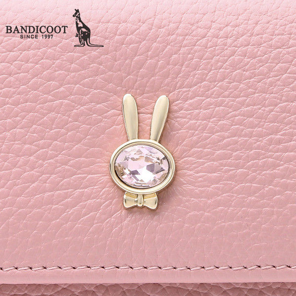 Naiste kaunistusega ökonahast rahakott